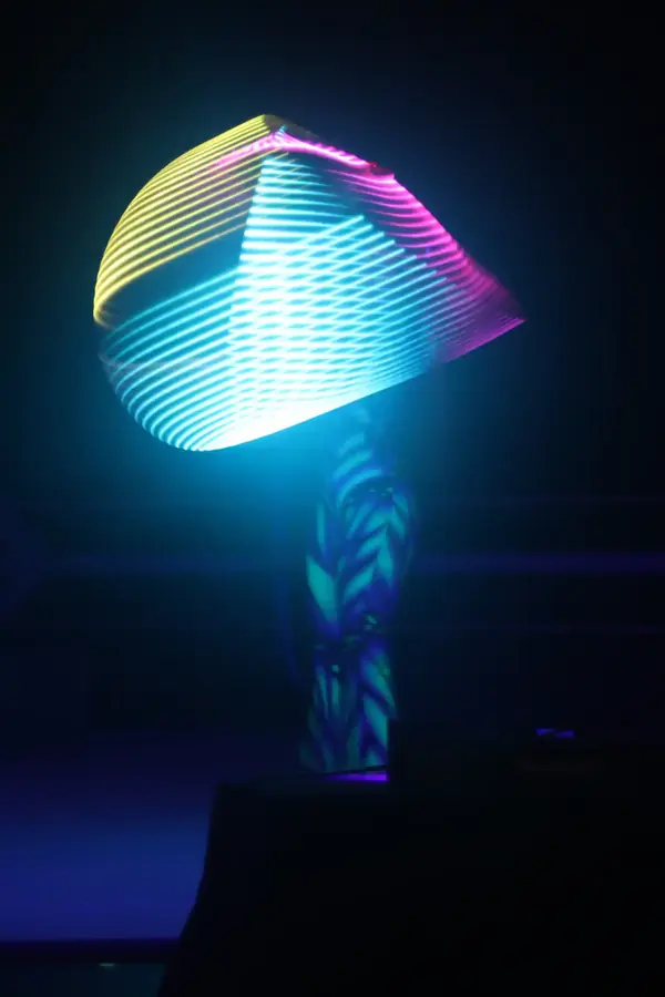 Hula