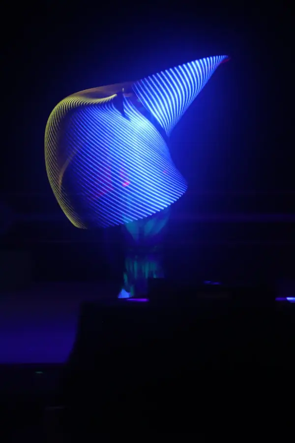 Hula